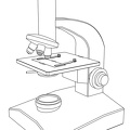 Mikroskop Zeichnung