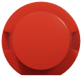 Taster Rot